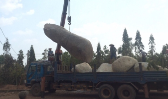 VẬN CHUYỂN CÂY CỐI, ĐÁ