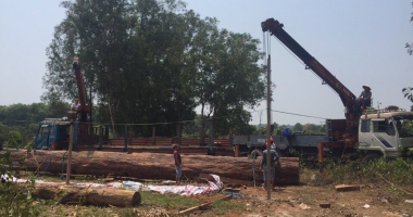 VẬN CHUYỂN CÂY, ĐÁ