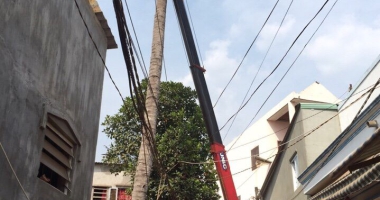XE CẨU SỬA CHỮA ĐIỆN