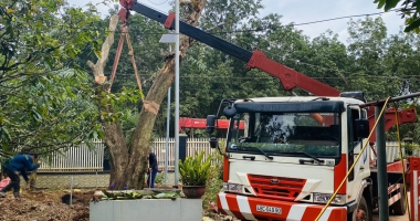 CHO THUÊ XE CẨU, VẬN CHUYỂN HÀNG HÓA
